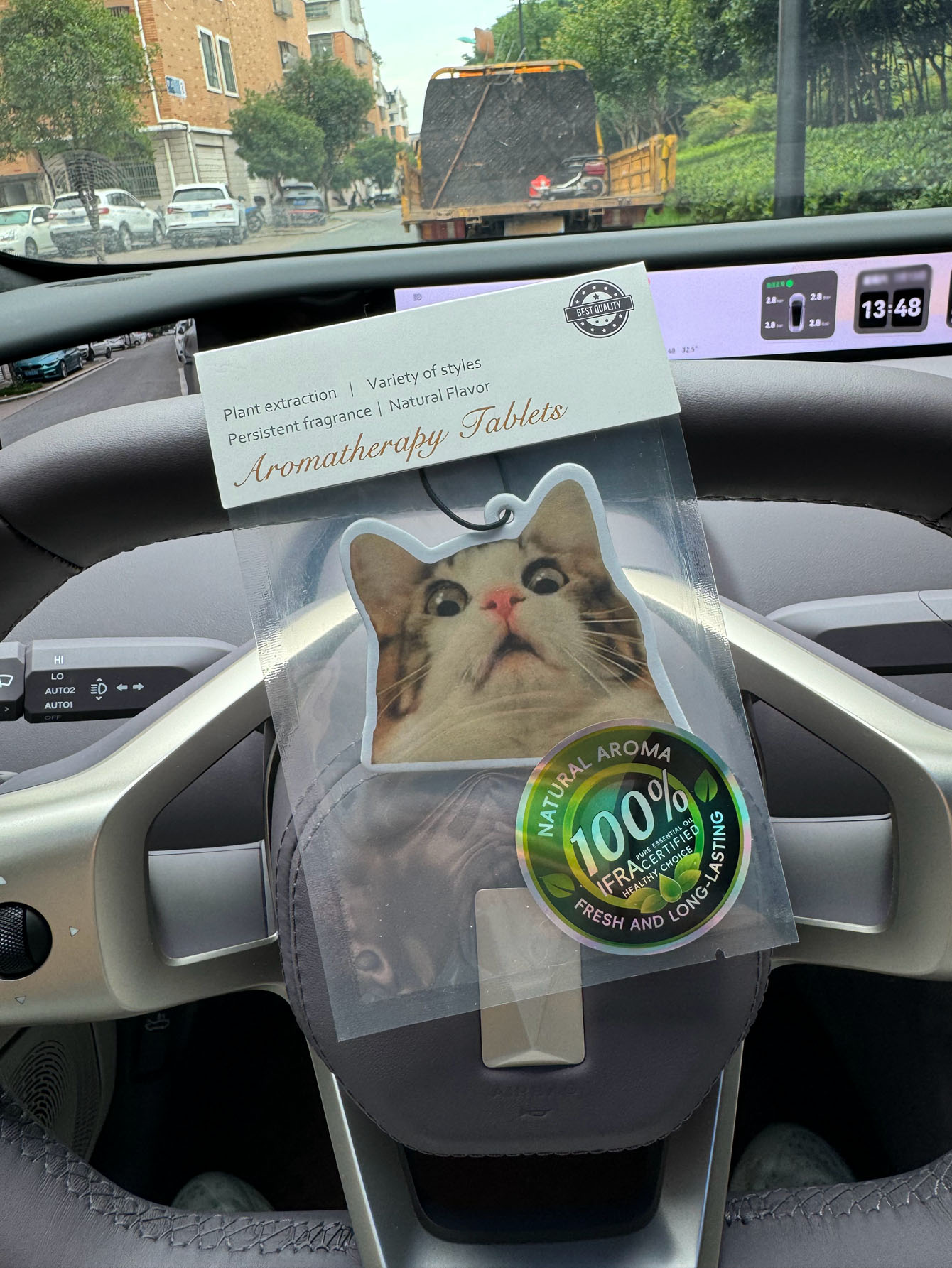 びっくりショックを受けた猫のミーム柄カーエアフレッシュナーペ - Perfume And Fragrance Are Same のレビューと価格