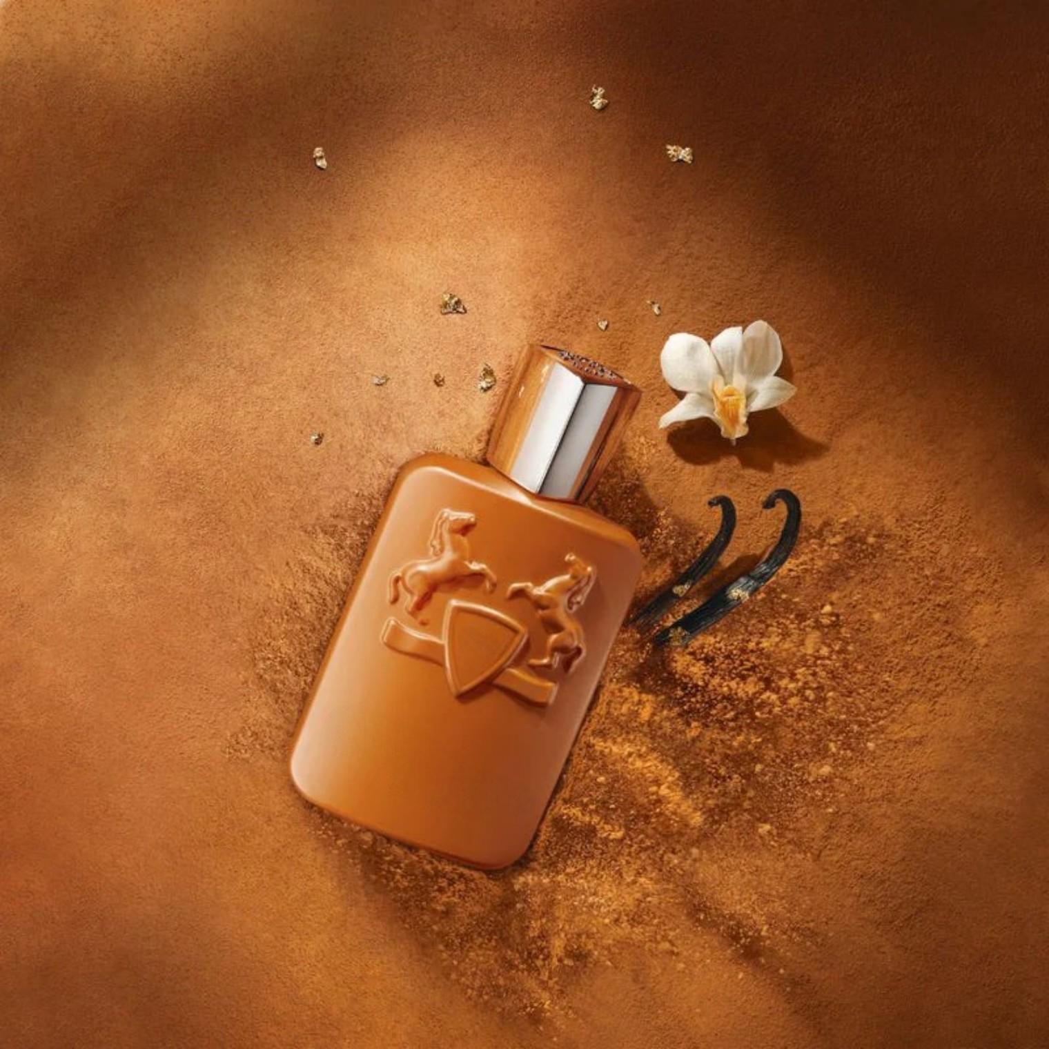 125ml ブラウンボトル メンズフレグランス リッチウッデ - Perfume Xeryus のレビューと価格