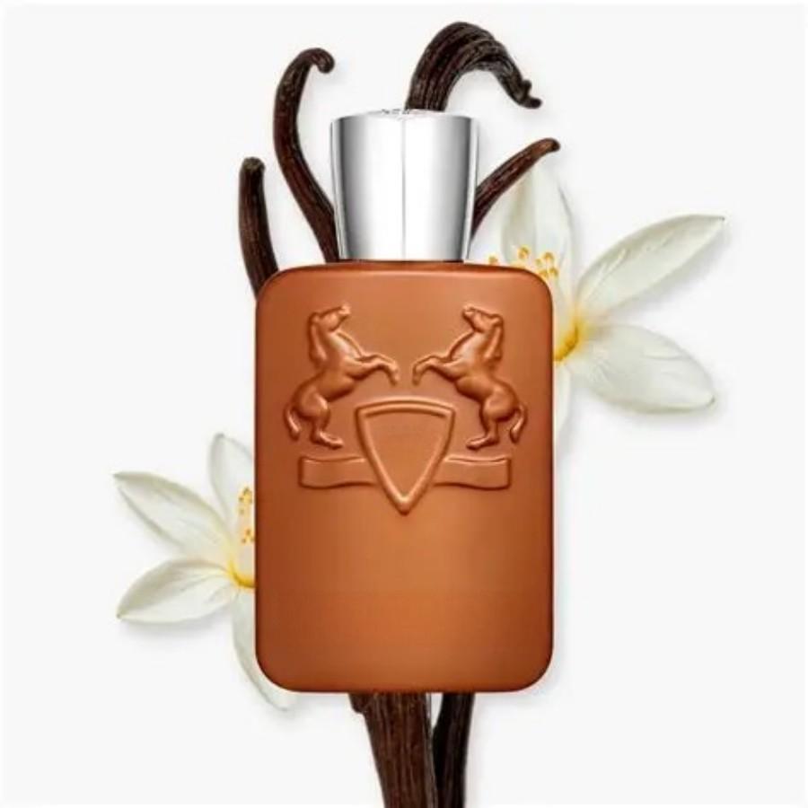 125ml ブラウンボトル メンズフレグランス リッチウッデ - Perfume Xeryus のレビューと価格